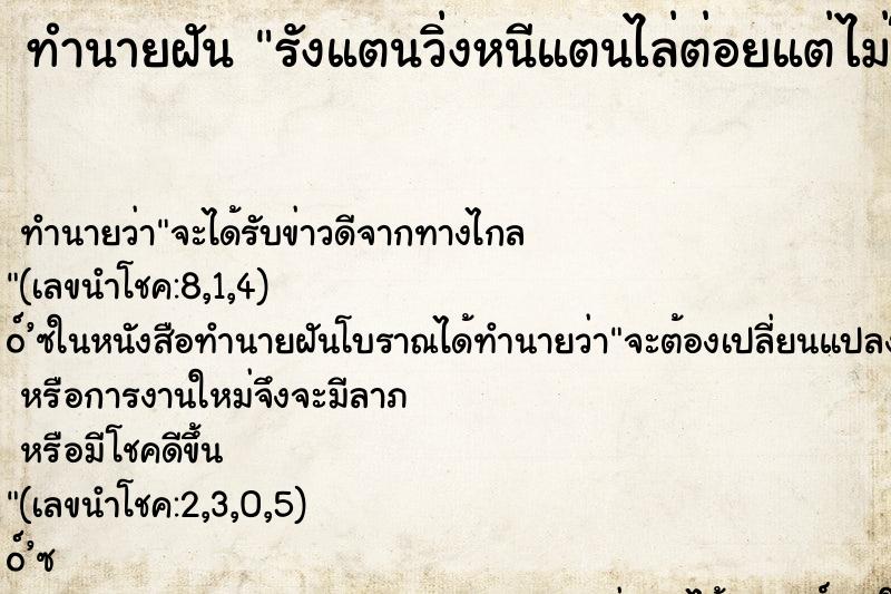 ทำนายฝันทำนายฝันรังแตนวิ่งหนีแตนไล่ต่อยแต่ไม่โดนต่อยคืน